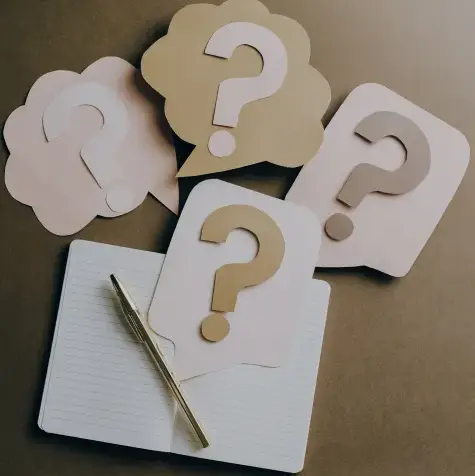 Q&A